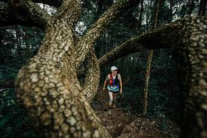 BIB: 
                            <button type="button" onclick="openModal(25700320)" class="btn btn-primary btn-sm float-right btn-popup" data-toggle="modal" data-target=".modal-high-quality">
                        <i class="fas fa-shopping-cart"></i> Add to Cart
                    </button>
                                            <button type="button" onclick="isThisMe(25700320, true)" class="btn btn-success btn-sm float-right btn-popup btn-isme hidden" data-toggle="tooltip" data-placement="bottom" title="นี่คือรูปของคุณใช่ไหม คลิกที่นี่เพื่อเอาเข้าอัลบั้ม">
                        <i class="fas fa-plus"></i> Add to album
                    </button>
                    <button type="button" onclick="isThisMe(25700320, false)" class="btn btn-warning btn-sm float-right btn-popup btn-isnotme hidden">
                        <i class="fas fa-ban"></i> Remove from album
                    </button>